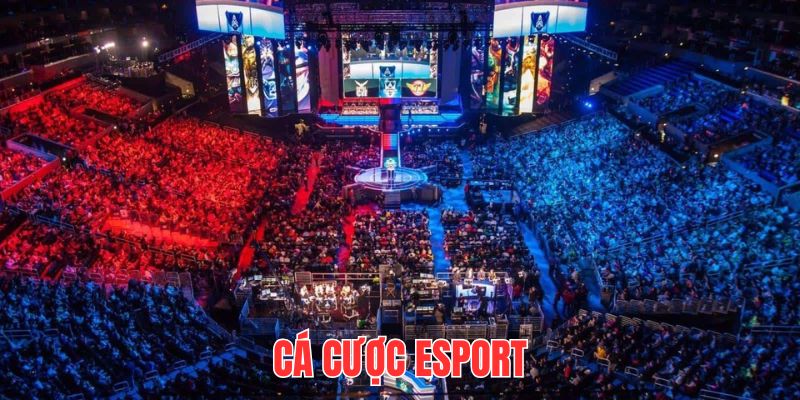 Cá Cược Esport - Mô Hình Giải Trí Tiền Tỷ Trong Thời Đại Mới